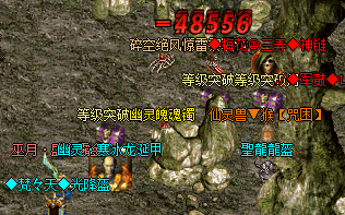 新开传奇找服网站